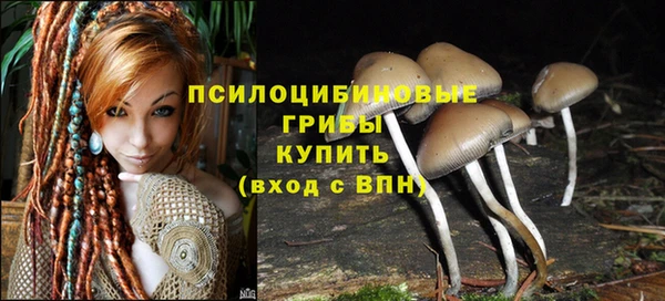 Альфа ПВП Остров