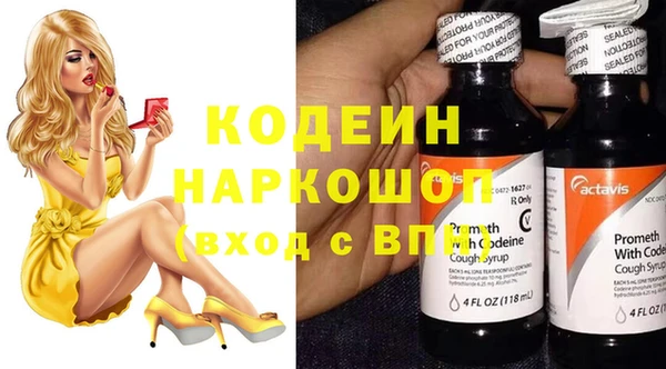 дмт Няндома