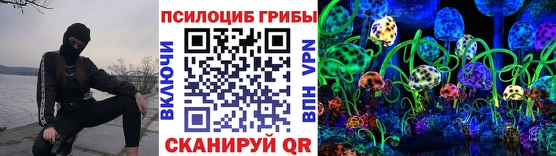 Псилоцибиновые грибы Psilocybe  закладка  Ялуторовск 