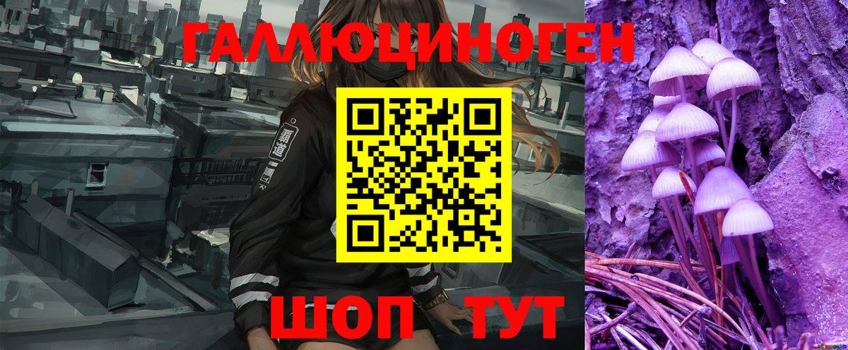 Псилоцибиновые грибы Magic Shrooms  Псилоцибиновые грибы Psilocybe  Вход с VPN  Ялуторовск 