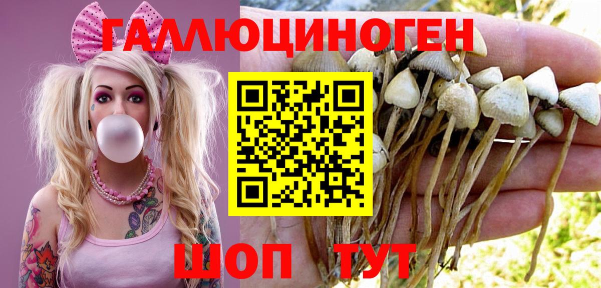 Псилоцибиновые грибы Psilocybe  как найти наркотики  Ялуторовск 